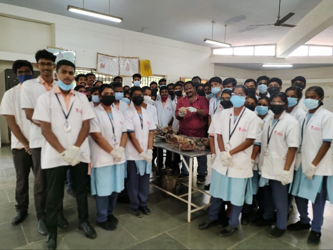 Anatomy Lab 3
